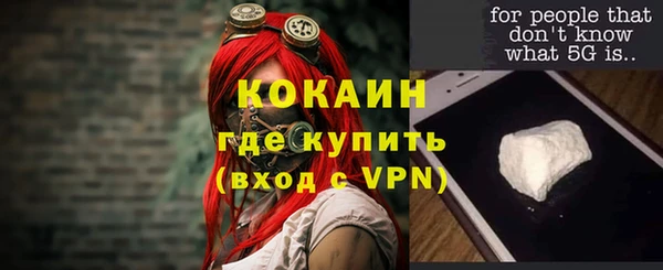 прущие грибы Богородицк