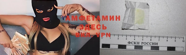 прущие грибы Богородицк