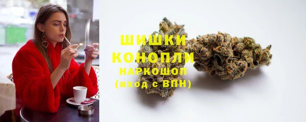 прущие грибы Богородицк