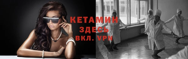 прущие грибы Богородицк