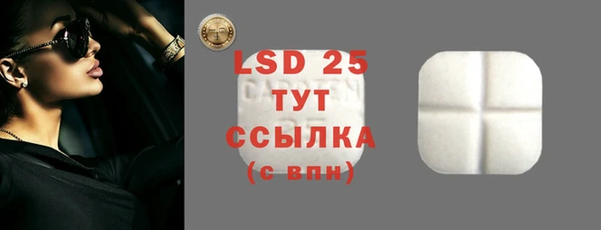 винт Богданович