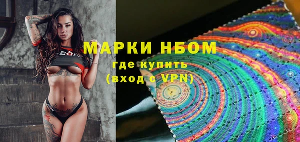 хмурый Богородск