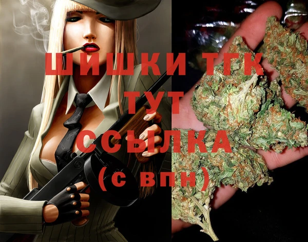 винт Богданович
