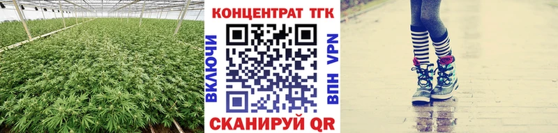 где можно купить   Дубна  ТГК Wax 